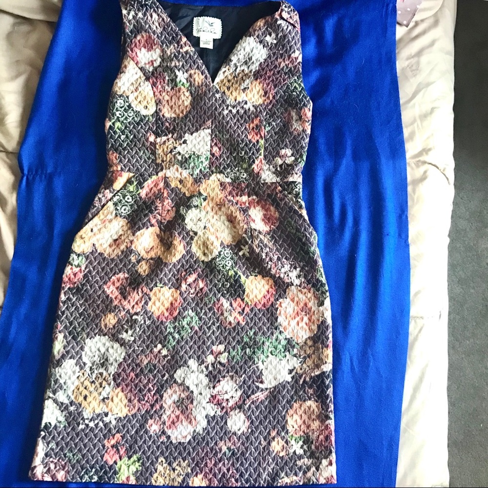 Anthropologie Dress w/ Floral and Quilted Design